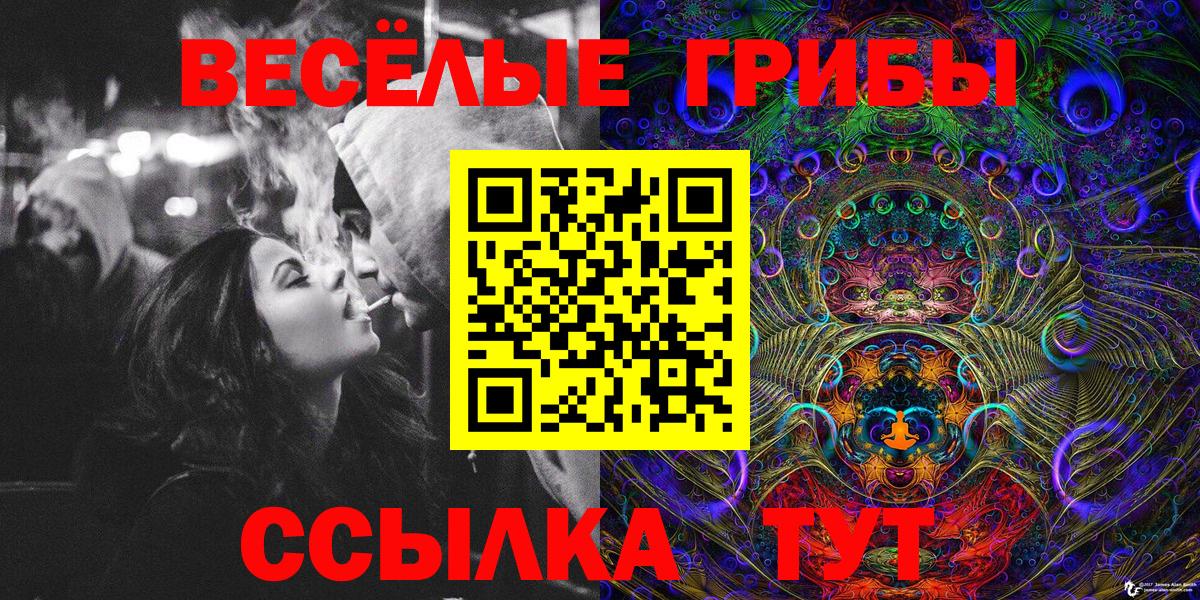 Изобильный  Псилоцибиновые грибы Cubensis  Вход с VPN 